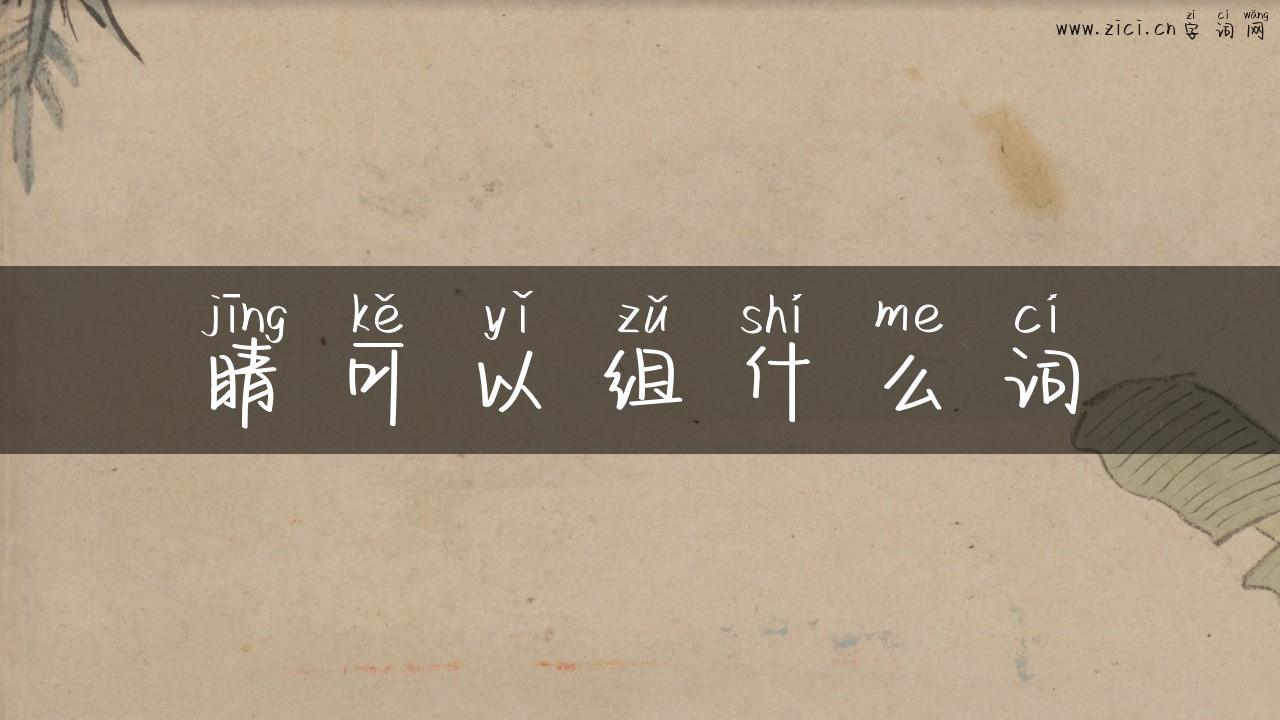睛可以组什么词