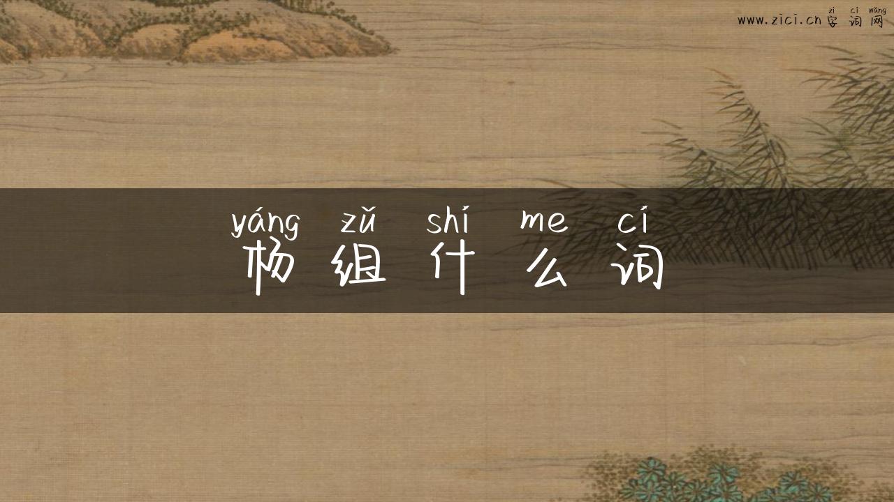 杨组什么词