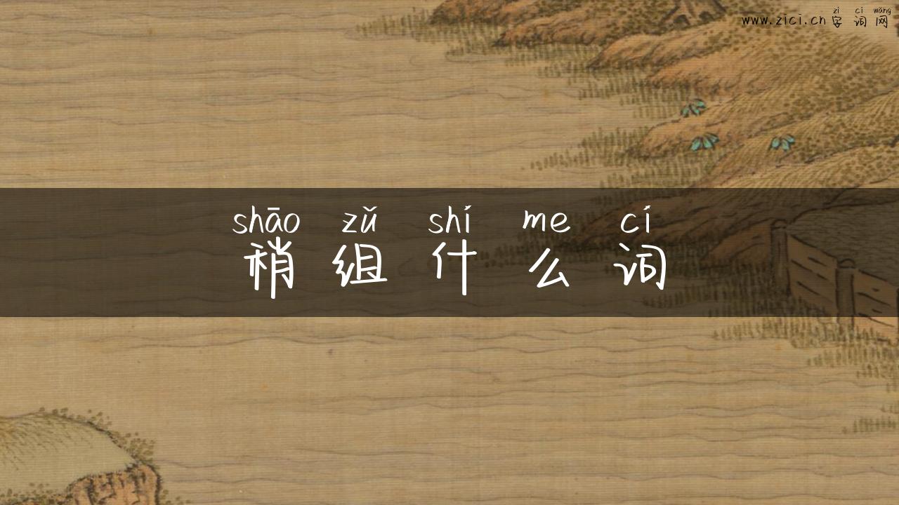 稍组什么词