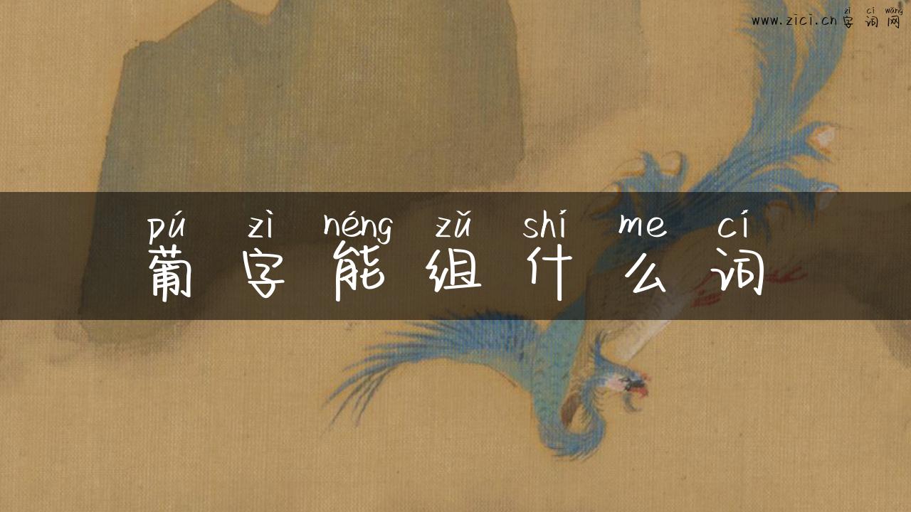 葡字能组什么词