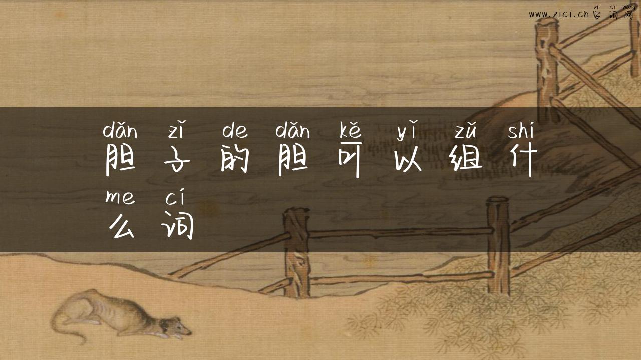 胆子的胆可以组什么词