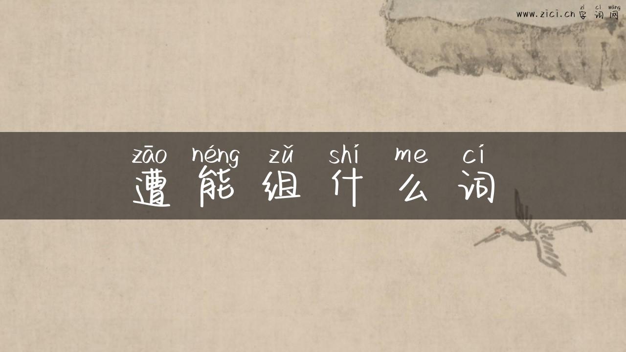 遭能组什么词