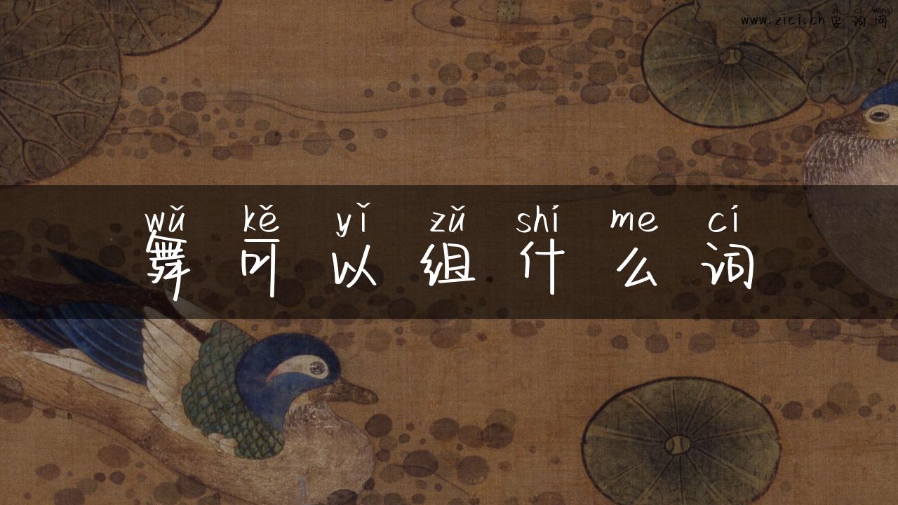 舞可以组什么词