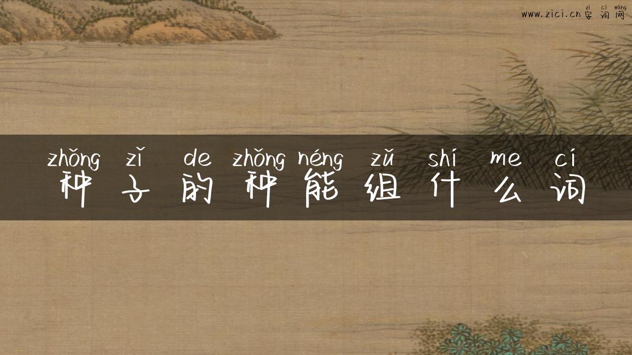 种子的种能组什么词
