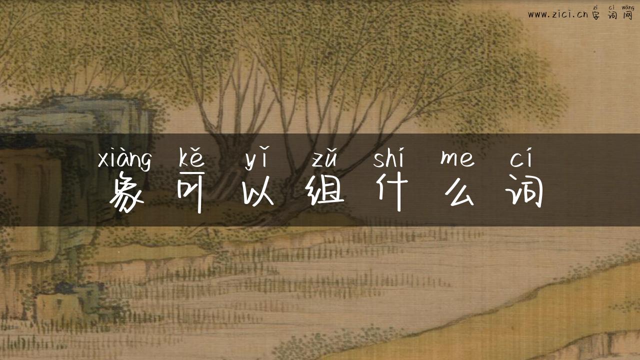 象可以组什么词