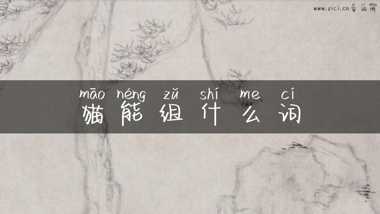 猫能组什么词