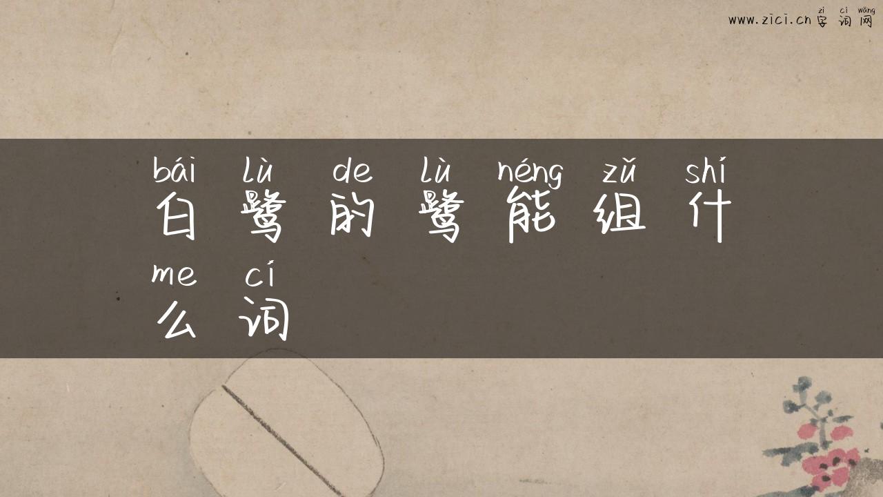 白鹭的鹭能组什么词