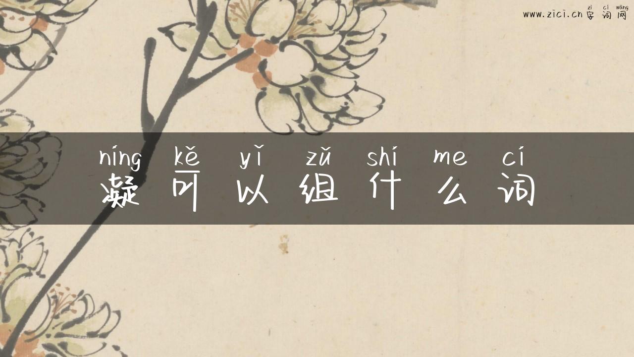 凝可以组什么词