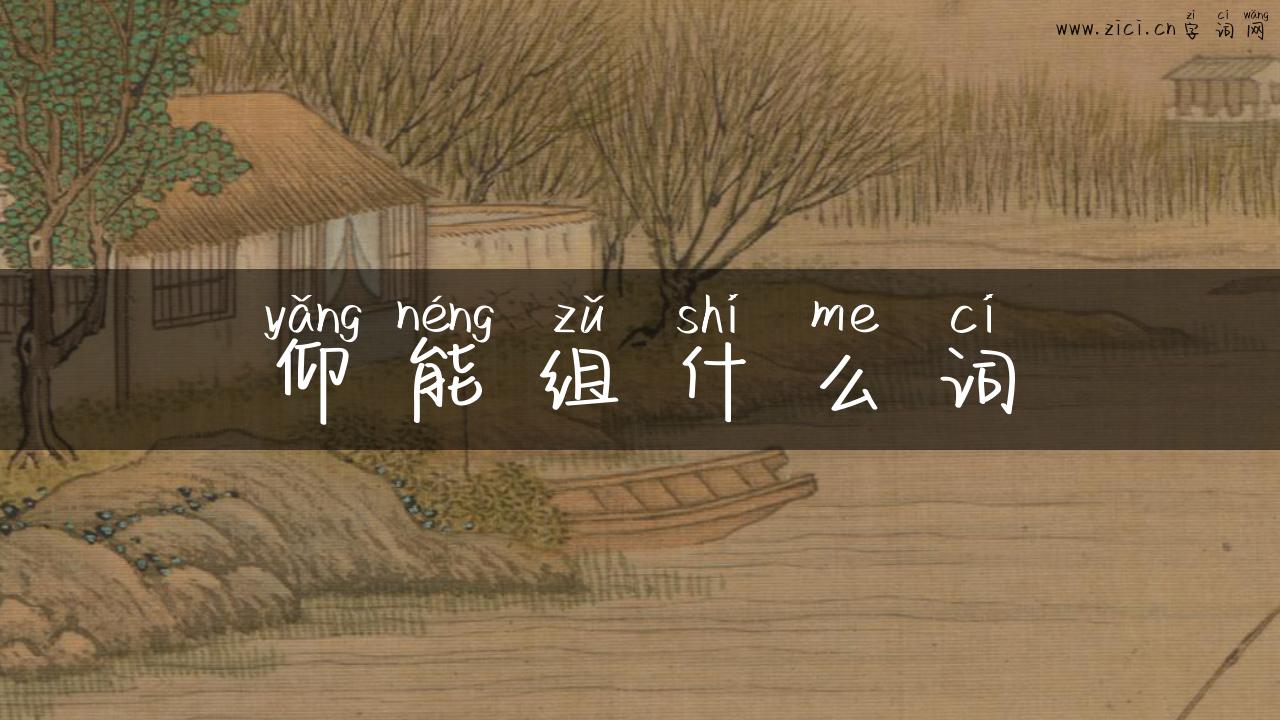 仰能组什么词