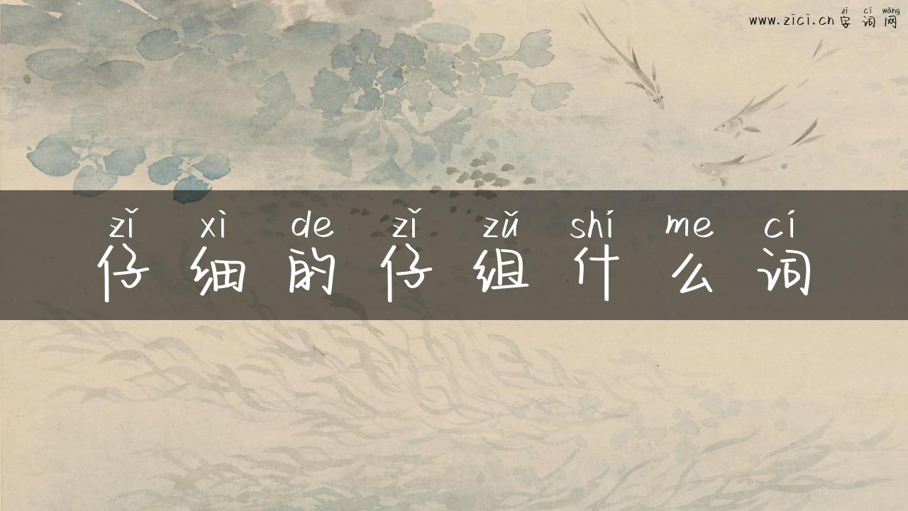 仔细的仔组什么词