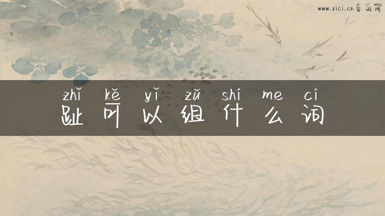 趾可以组什么词