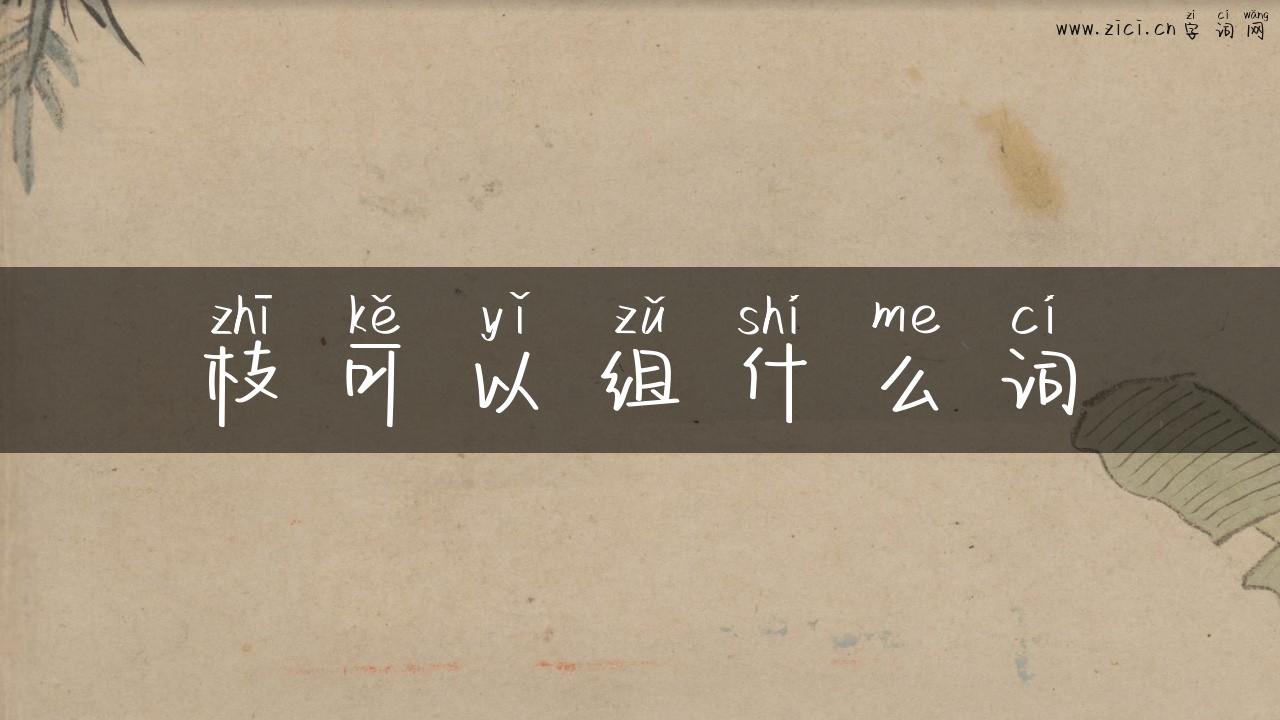 枝可以组什么词