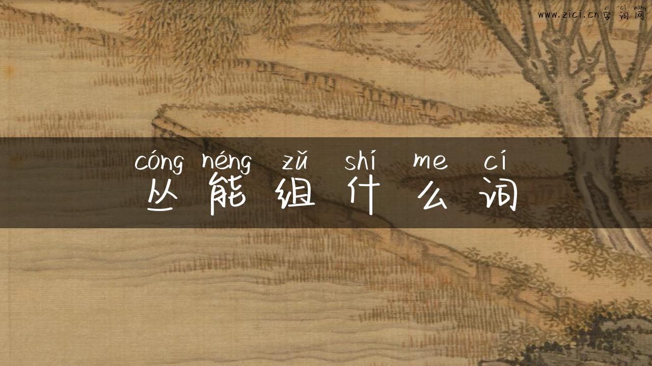 丛能组什么词