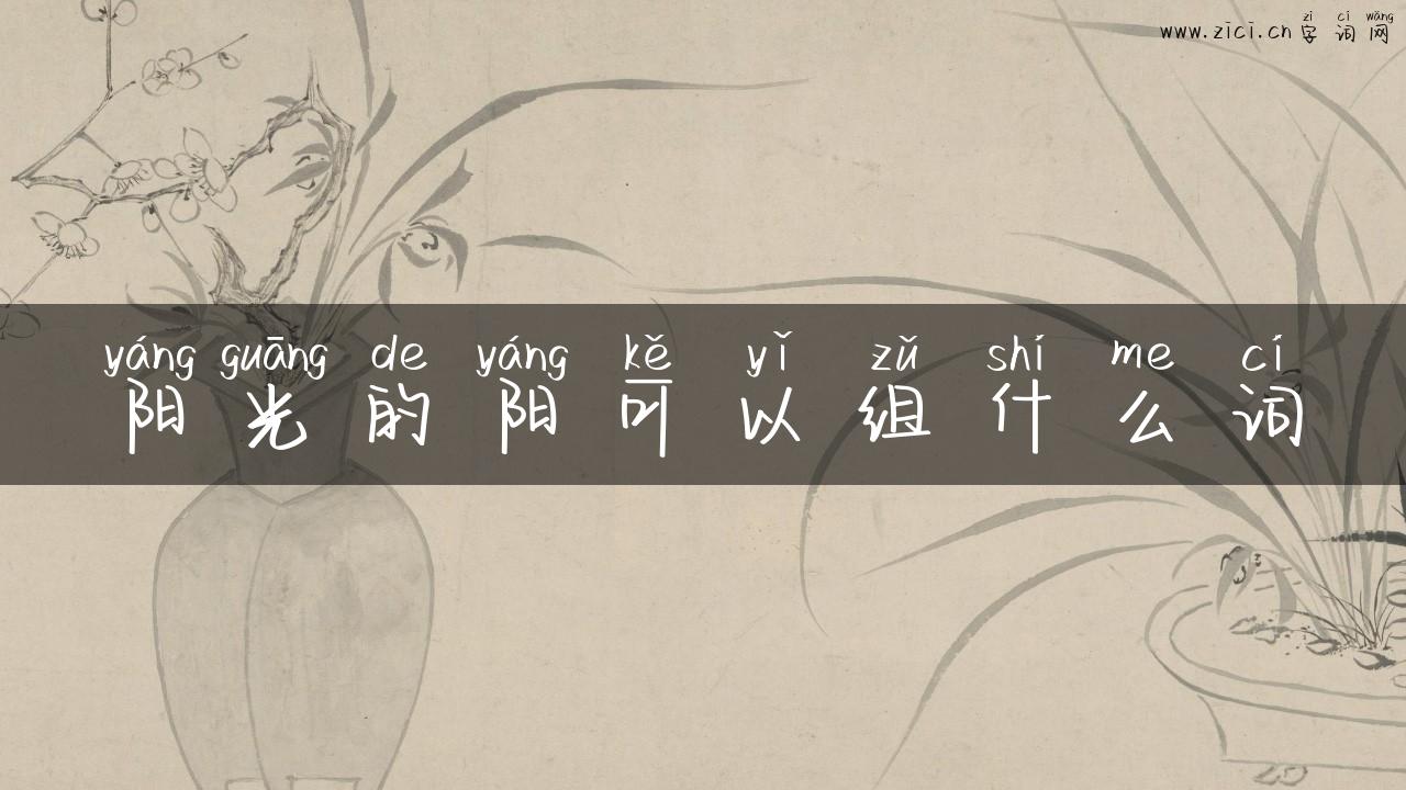 阳光的阳可以组什么词