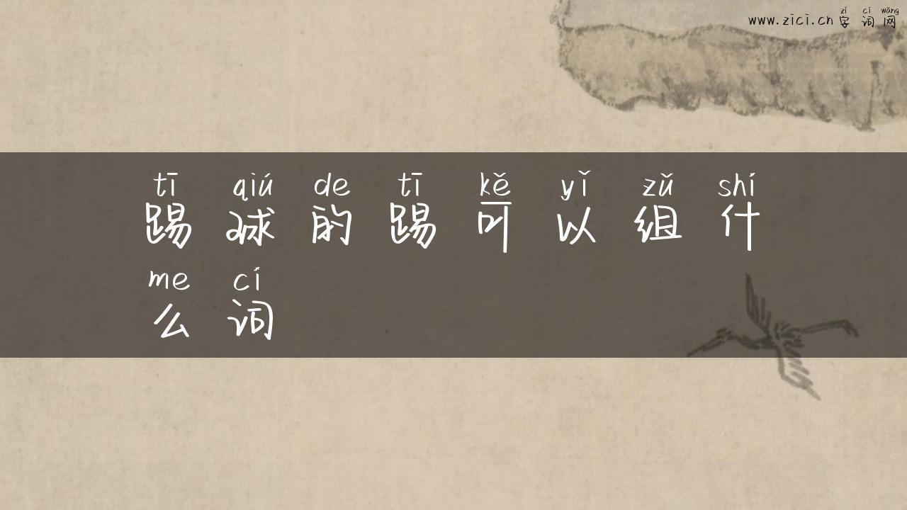 踢球的踢可以组什么词
