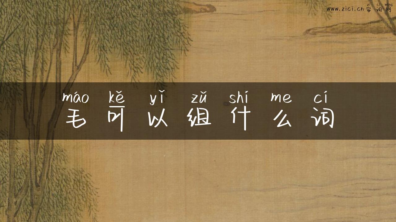 毛可以组什么词