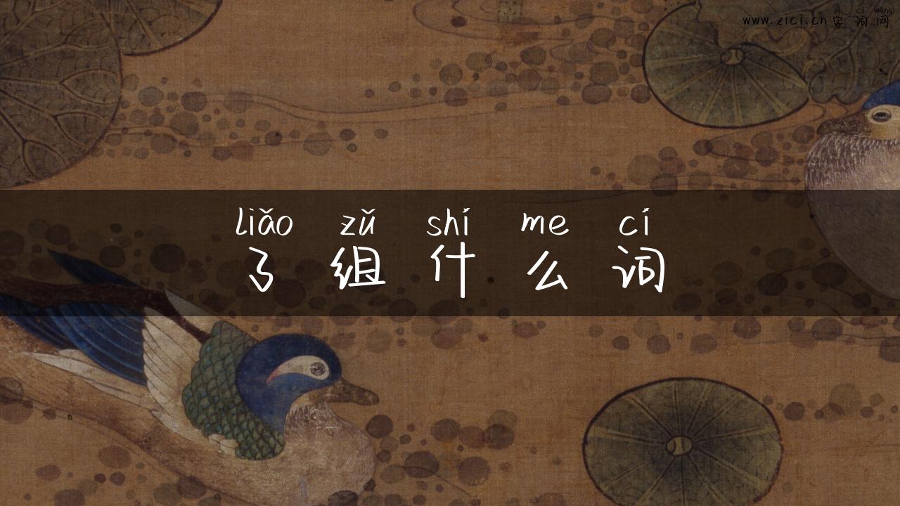 了组什么词
