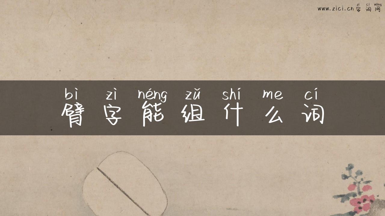 臂字能组什么词