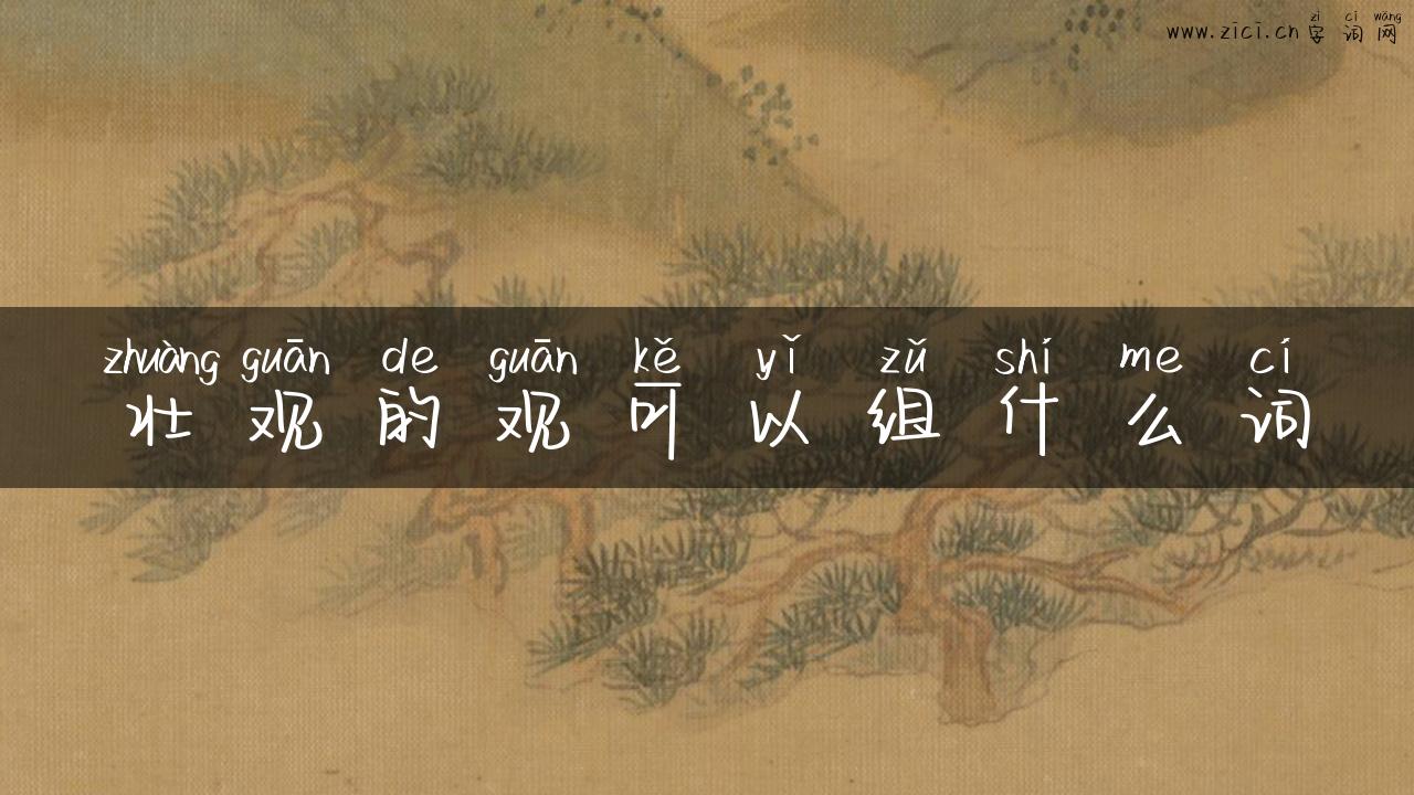 壮观的观可以组什么词
