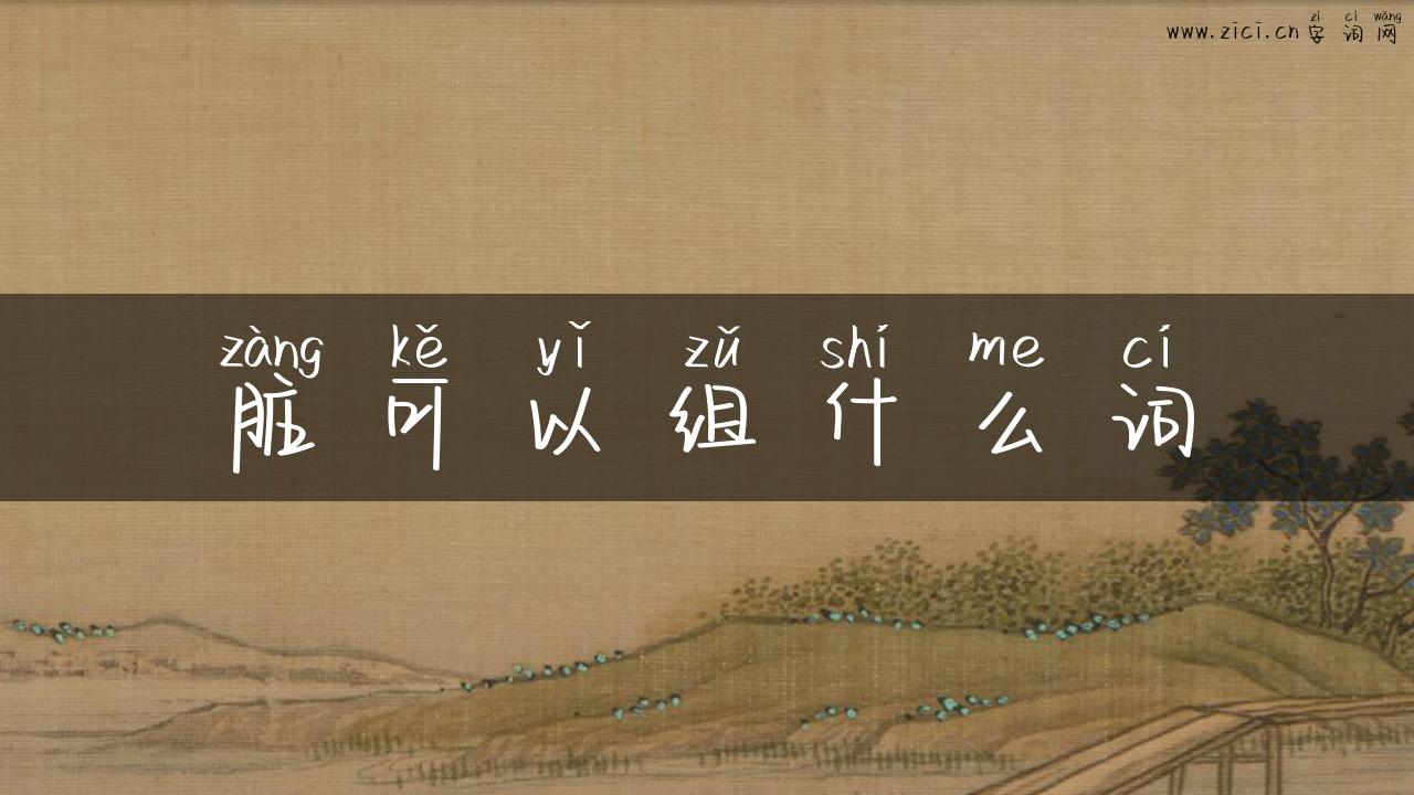 脏可以组什么词