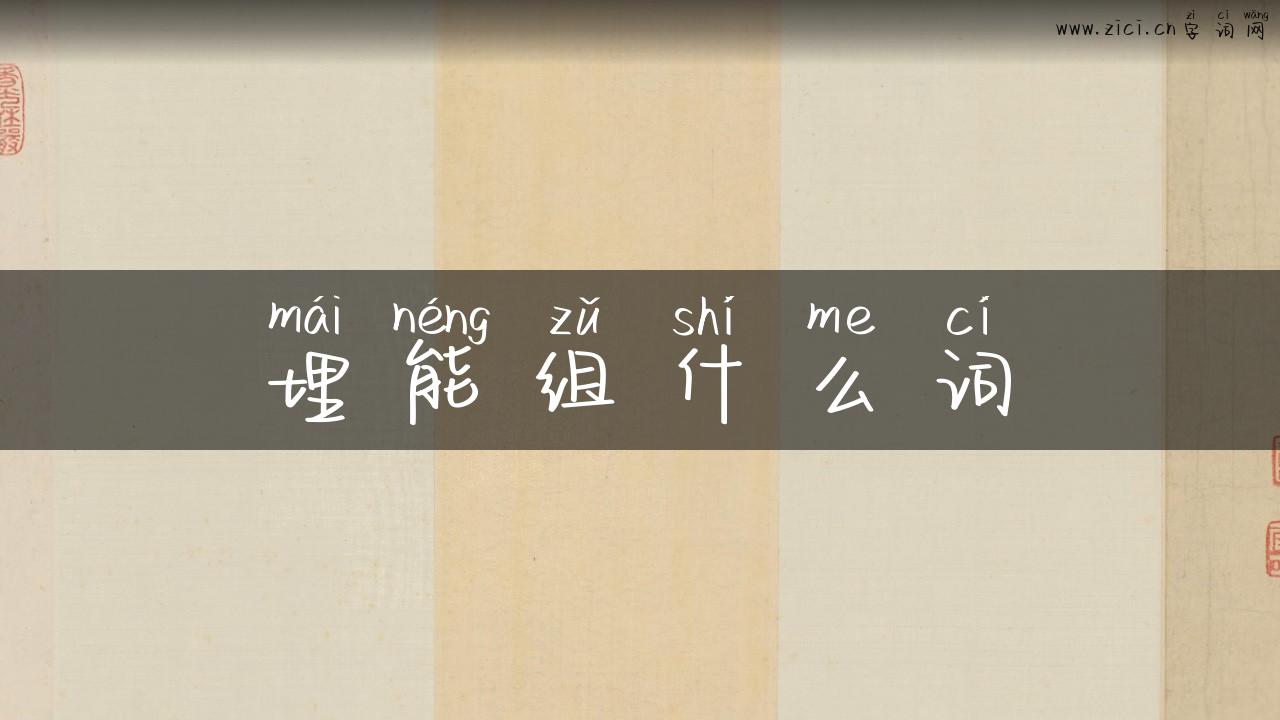 埋能组什么词