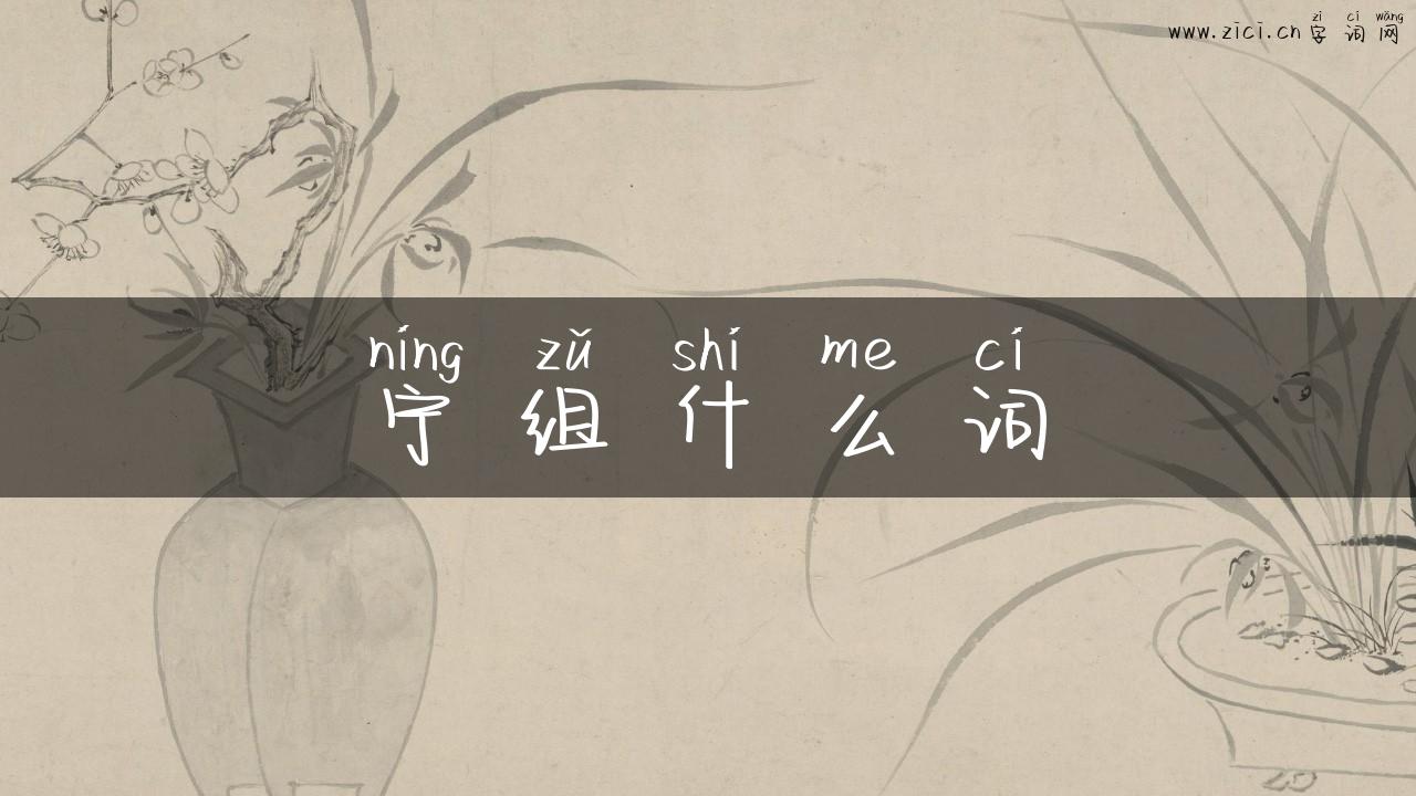 宁组什么词