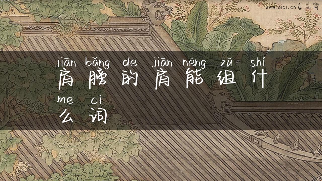 肩膀的肩能组什么词