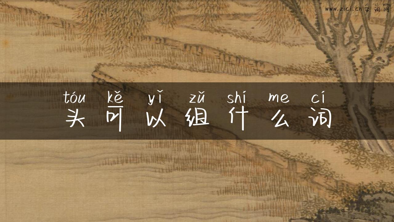头可以组什么词