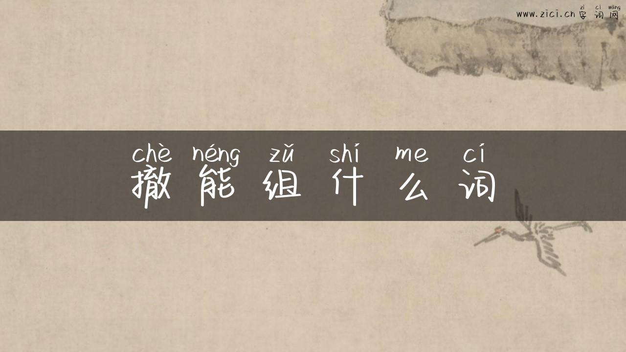 撤能组什么词