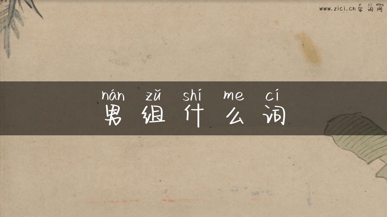 男组什么词