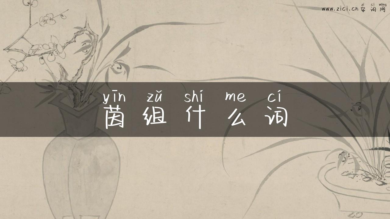 茵组什么词