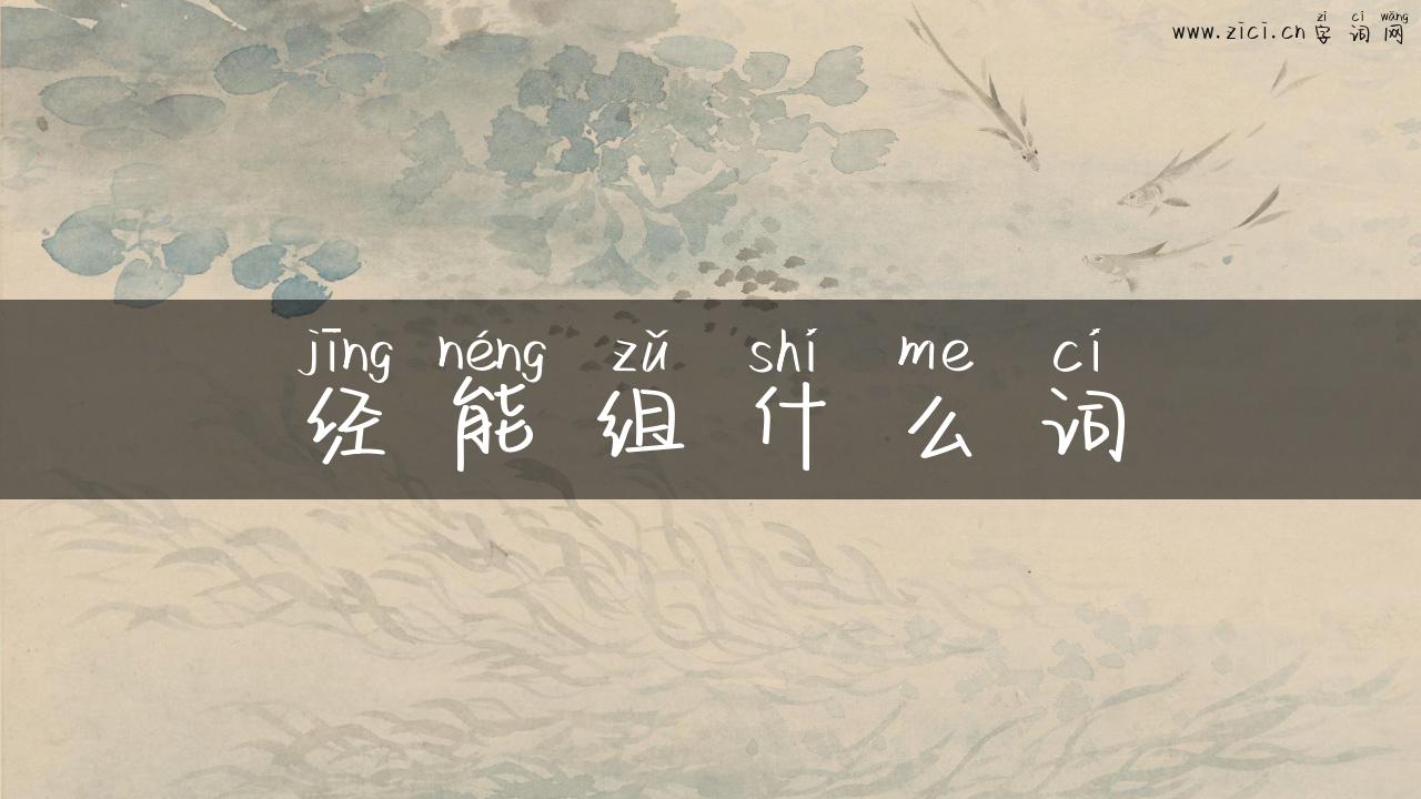 经能组什么词
