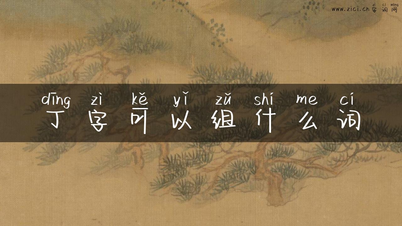 丁字可以组什么词