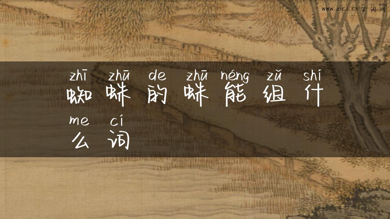 蜘蛛的蛛能组什么词