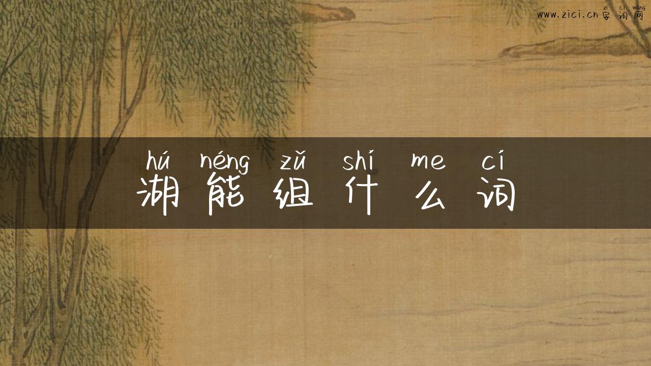 湖能组什么词