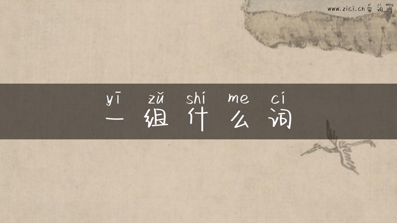 一组什么词