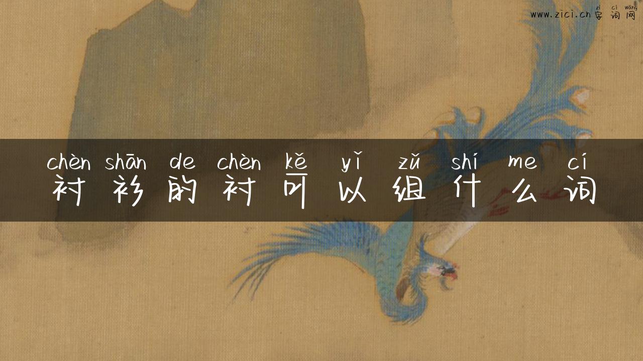 衬衫的衬可以组什么词