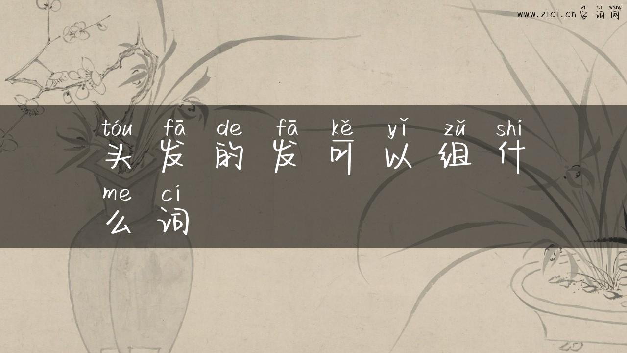 头发的发可以组什么词