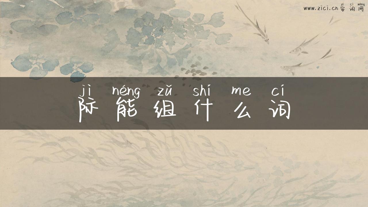 际能组什么词