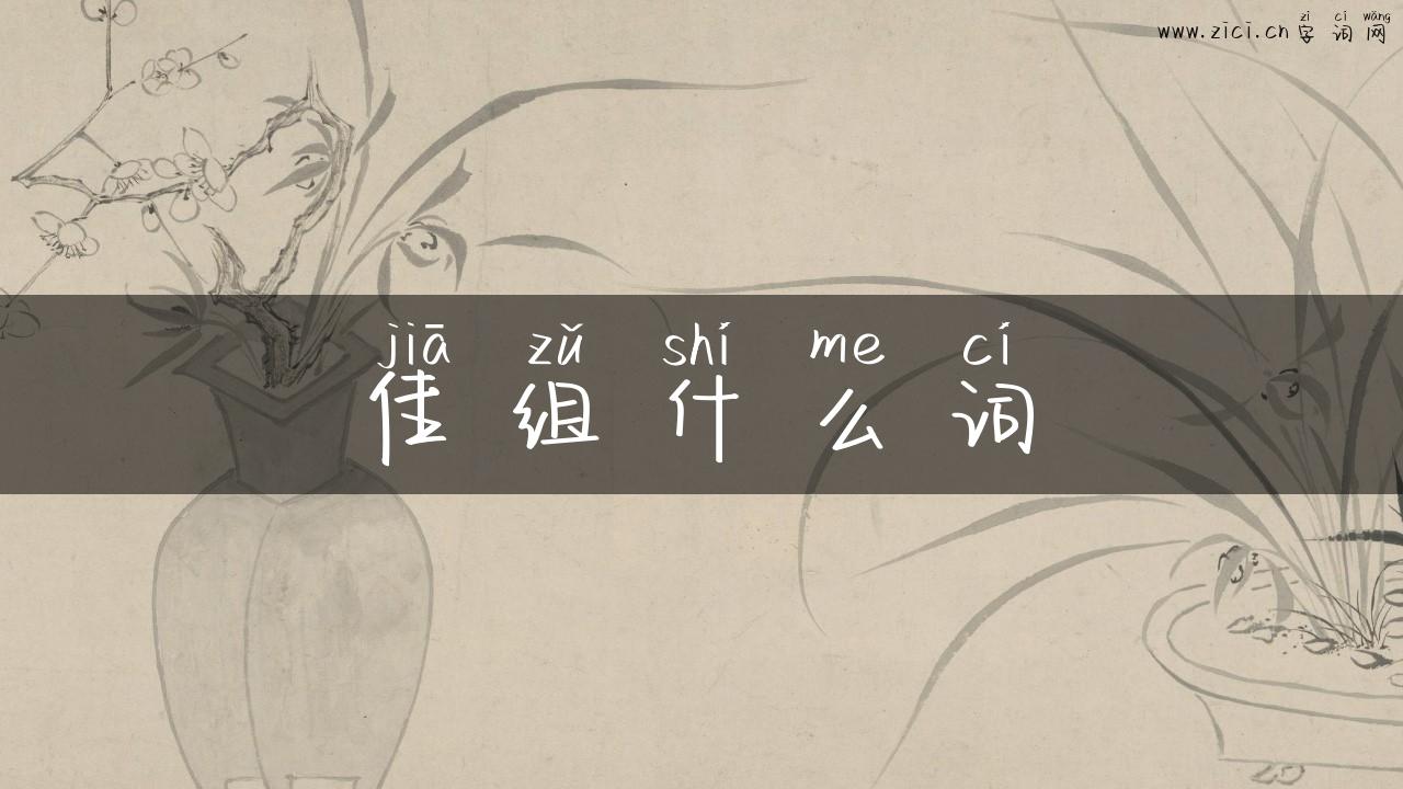 佳组什么词