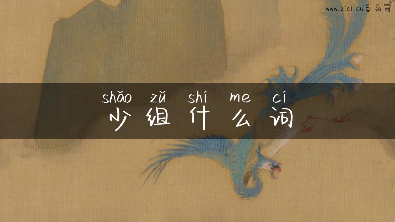 少组什么词