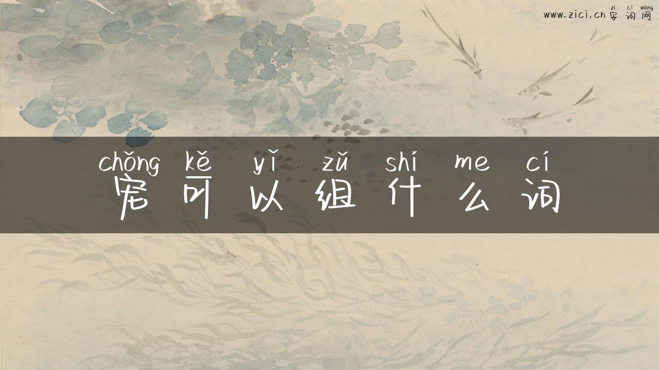 宠可以组什么词