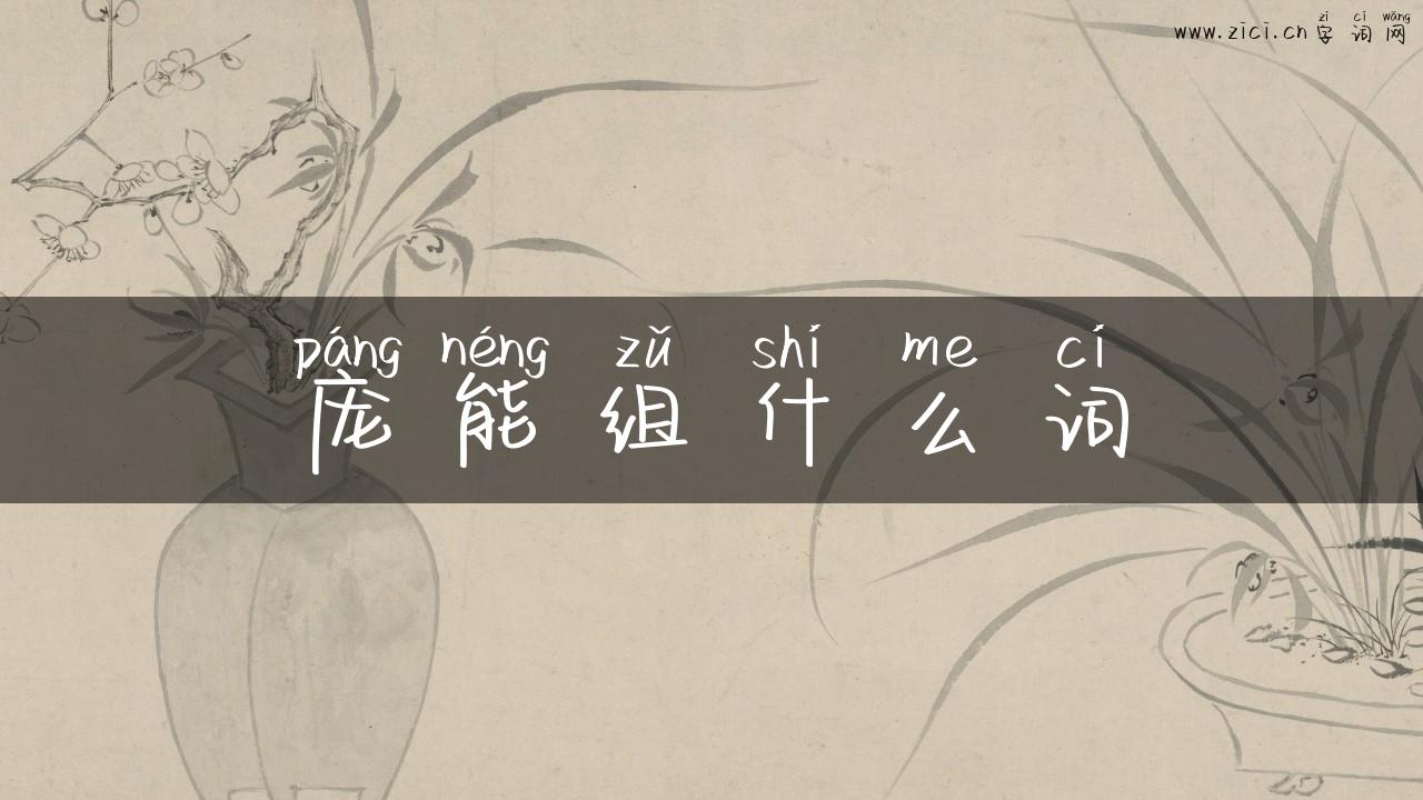 庞能组什么词