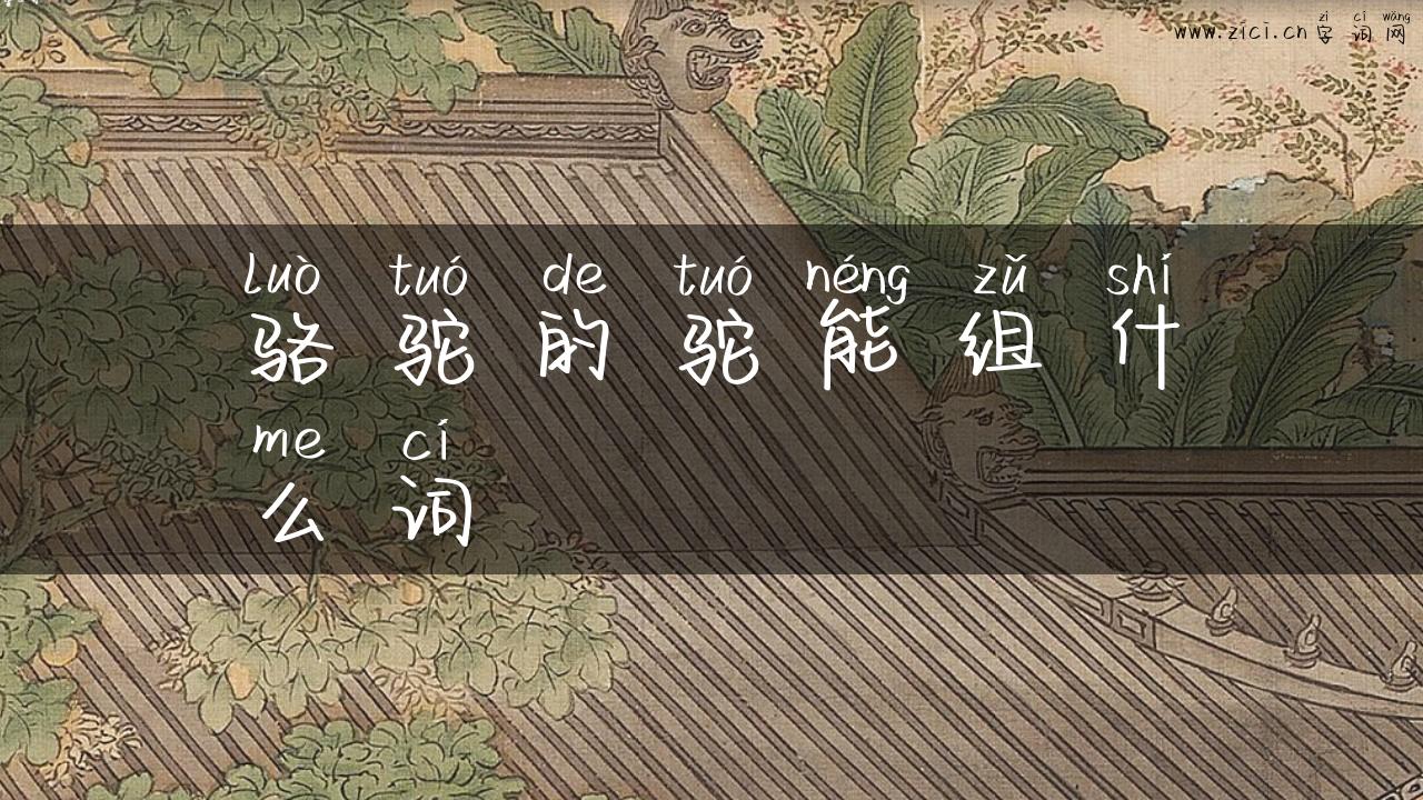 骆驼的驼能组什么词