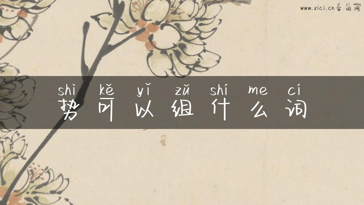 势可以组什么词