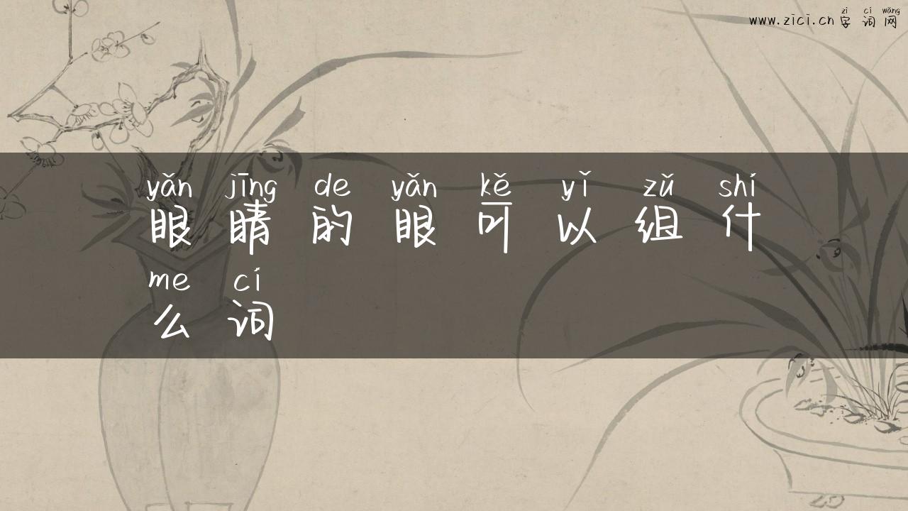 眼睛的眼可以组什么词