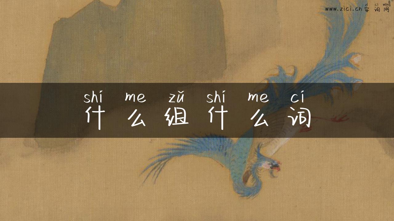 什么组什么词