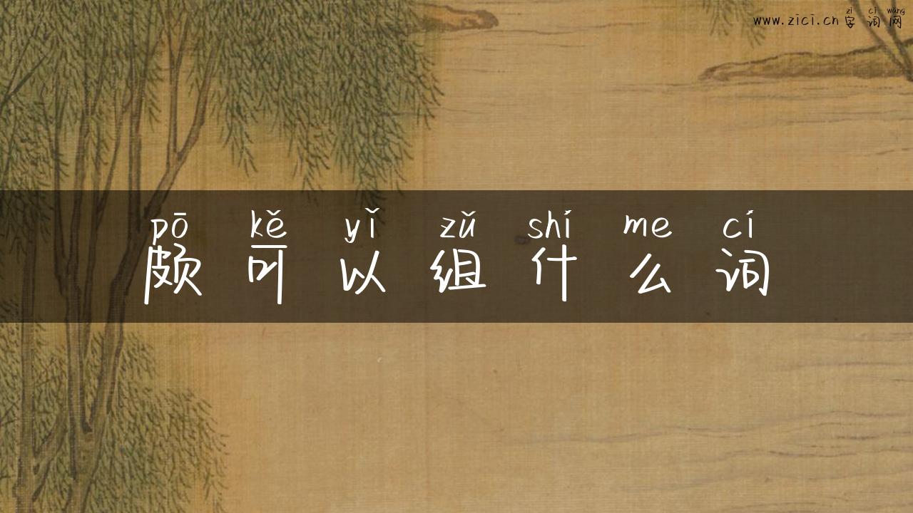 颇可以组什么词