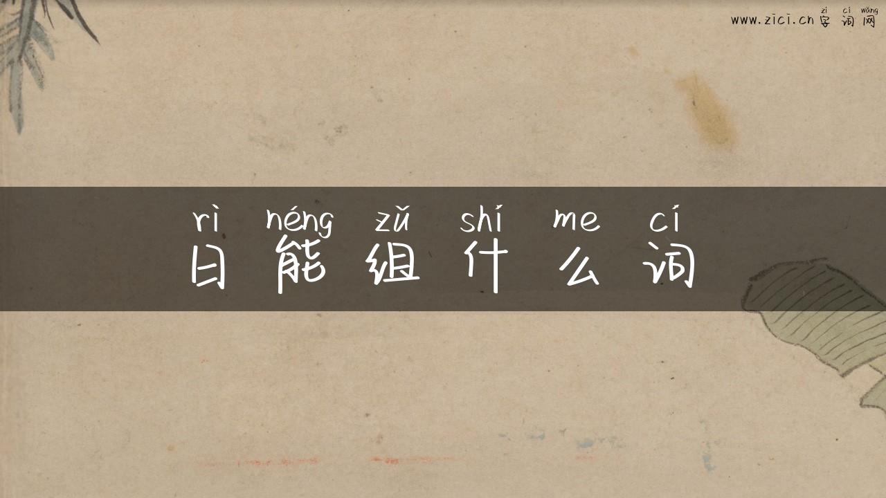 日能组什么词