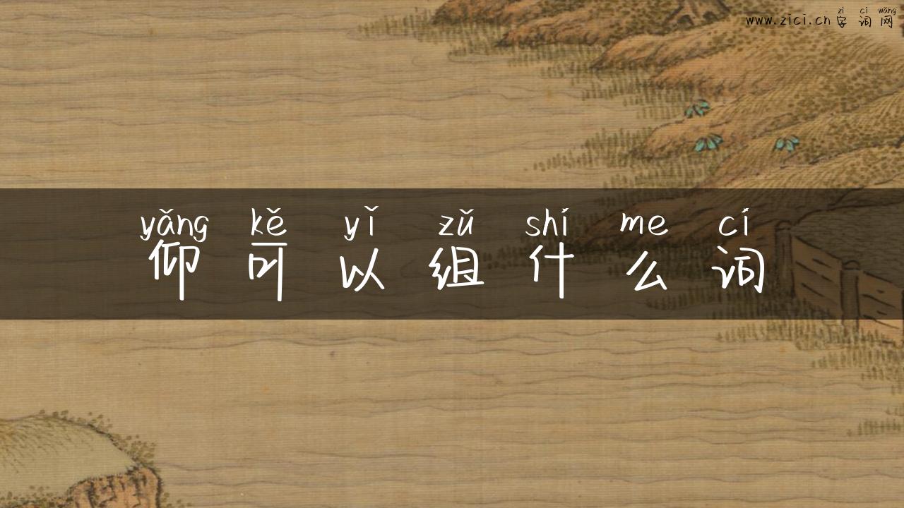 仰可以组什么词